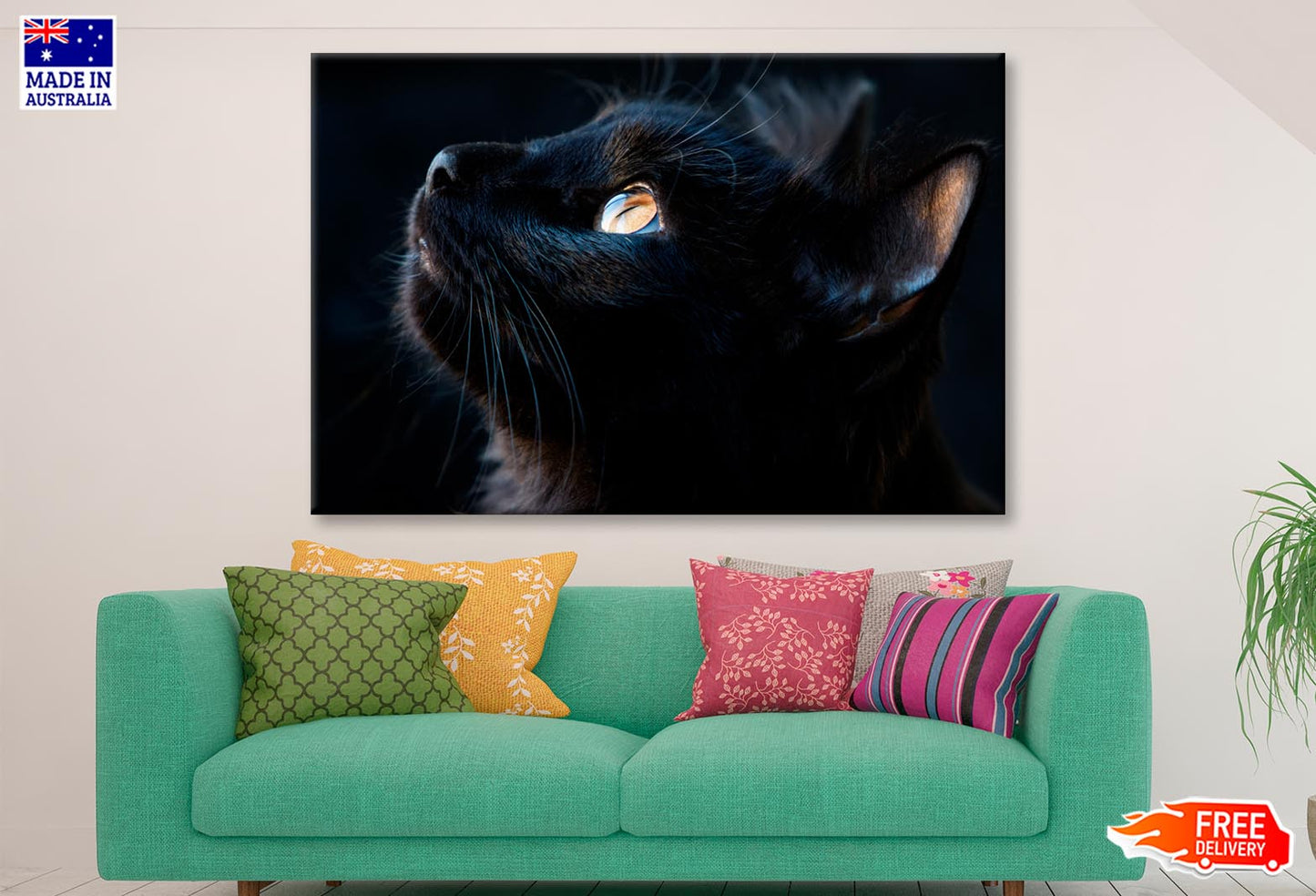 Black Cat with A Yellow Eye Staring Up Wall Art Decor 100% Australian Made