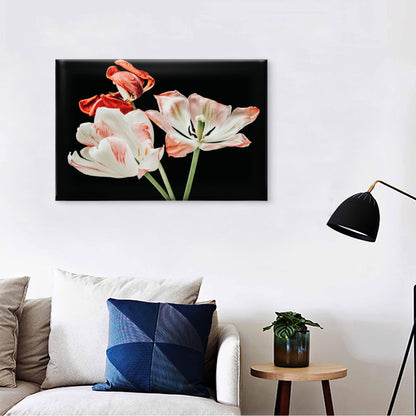 Botanical White and Red Fading Tulip Blossoms Wall Art Decor 100% Australian Made