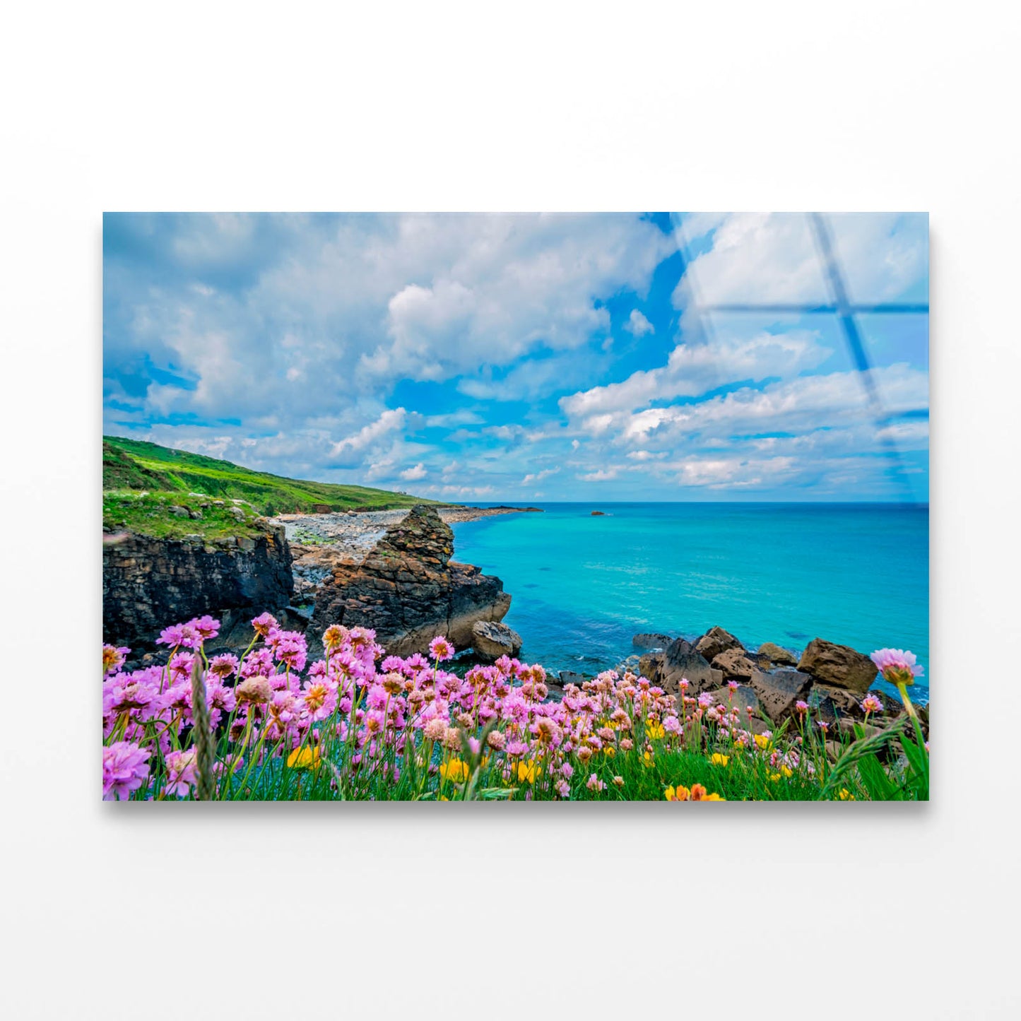 Flowers on the Sea Acrylic Glass Print Tempered Glass Wall Art 100% Made in Australia Ready to Hang