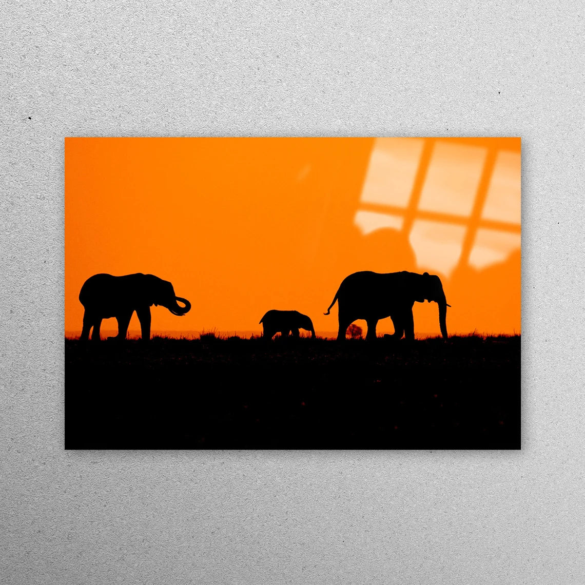 Elephant Family, Safari Acrylic Glass Print Tempered Glass Wall Art 100% Made in Australia Ready to Hang