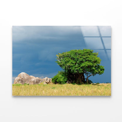 Serengeti National Park Scenery Tanzania Africa Acrylic Glass Print Tempered Glass Wall Art 100% Made in Australia Ready to Hang