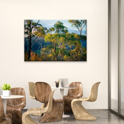 Australian Gum Tree Forest Sunset Wall Art Decor 100% Australian Made