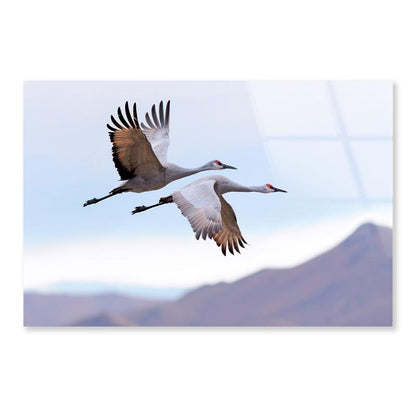 Flying Cranes Mountain Sky View Acrylic Glass Print Tempered Glass Wall Art 100% Made in Australia Ready to Hang