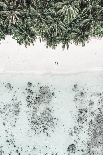 Palms & Seashore Aerial View Photograph Glass Framed Wall Art, Ready to Hang Quality Print