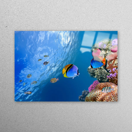 Underwater Seascape Acrylic Glass Print Tempered Glass Wall Art 100% Made in Australia Ready to Hang