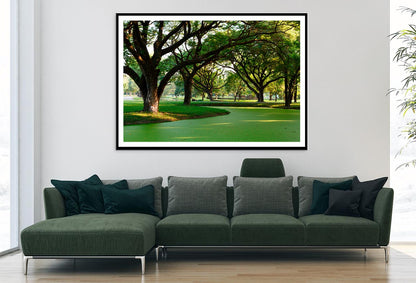 Samanea Saman Big Rain Tree Home Decor Premium Quality Poster Print Choose Your Sizes