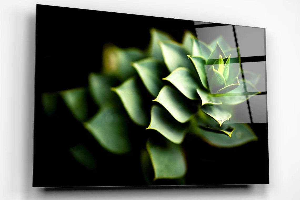 Cactus Leaves Acrylic Glass Print Tempered Glass Wall Art 100% Made in Australia Ready to Hang