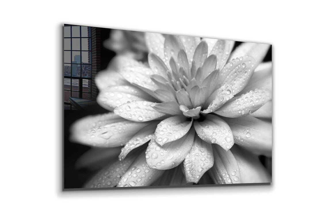 Lotus Flower B&W View UV Direct Aluminum Print Australian Made Quality