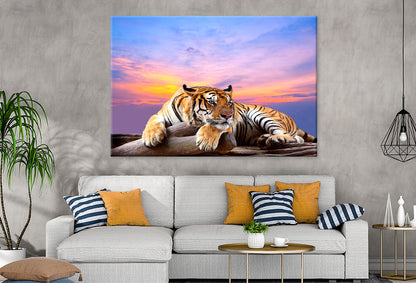 Tiger Beautiful Sky Sunset Time  Wall Art Decor 100% Australian Made