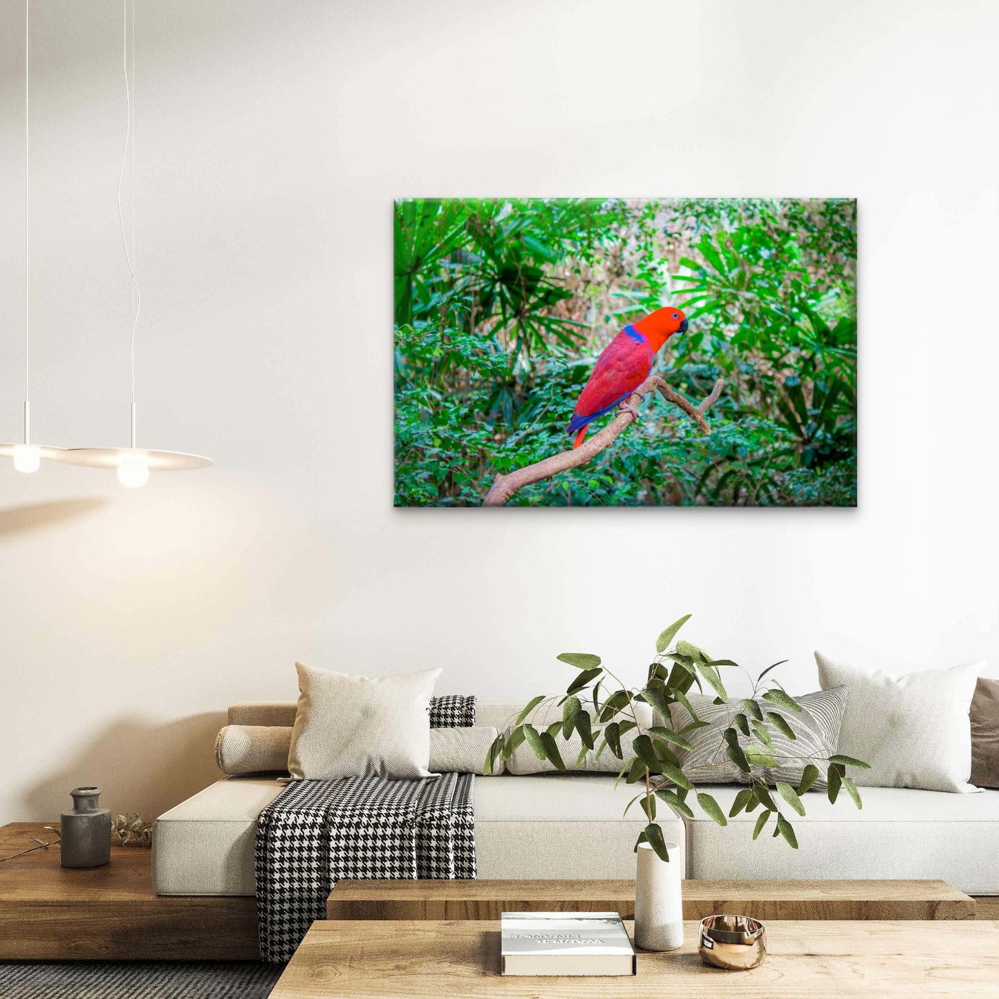 Red and Blue Parrot Daintree Rainforest Australia Wall Art Decor 100% Australian Made