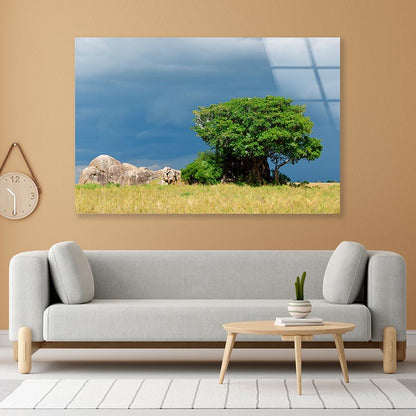 Serengeti National Park Scenery Tanzania Africa Acrylic Glass Print Tempered Glass Wall Art 100% Made in Australia Ready to Hang