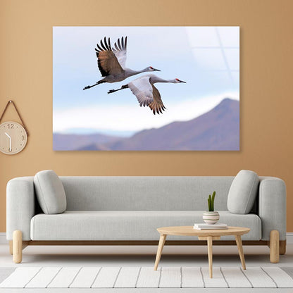 Flying Cranes Mountain Sky View Acrylic Glass Print Tempered Glass Wall Art 100% Made in Australia Ready to Hang