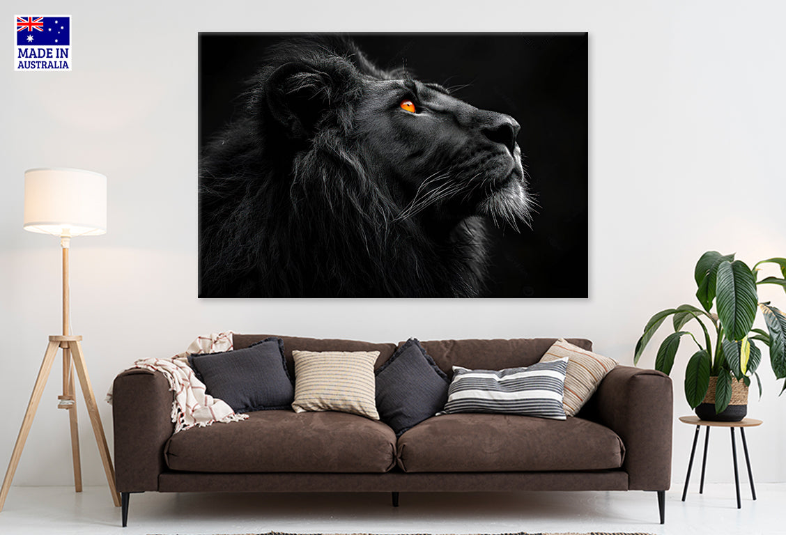 Brave Lion King Isolated on Black Wall Art Decor 100% Australian Made