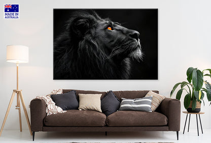 Brave Lion King Isolated on Black Wall Art Decor 100% Australian Made