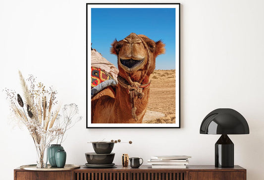 Close-Up Of a Dromedary Camel in The Desert Home Decor Premium Quality Poster Print Choose Your Sizes