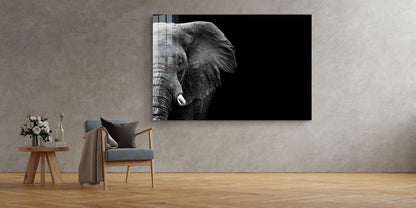 Half Face Elephant B&W UV Direct Aluminum Print Australian Made Quality