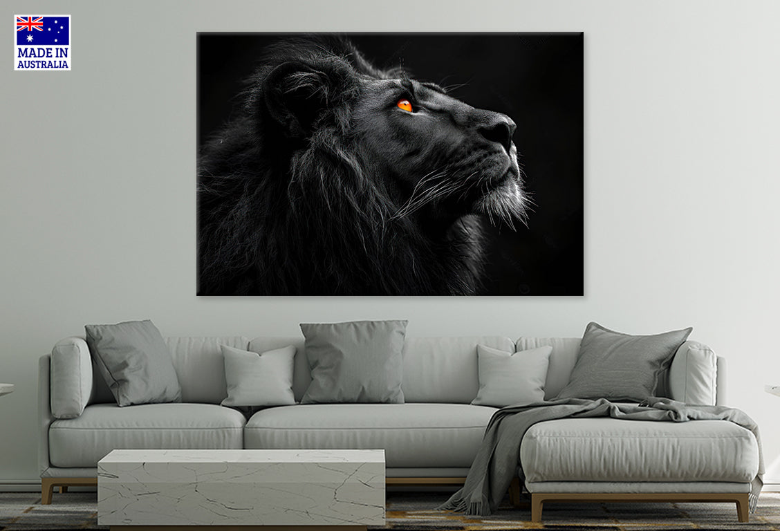 Brave Lion King Isolated on Black Wall Art Decor 100% Australian Made