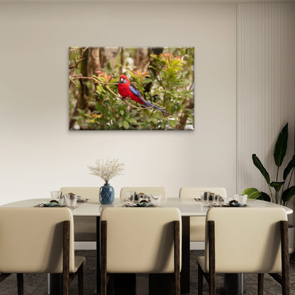 Crimson Rosella Queensland Wall Art Decor 100% Australian Made
