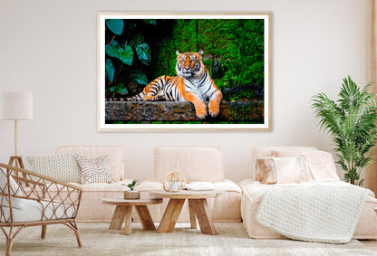 Beautiful Bengal Tiger with Lush Green Habitat Background Home Decor Premium Quality Poster Print Choose Your Sizes