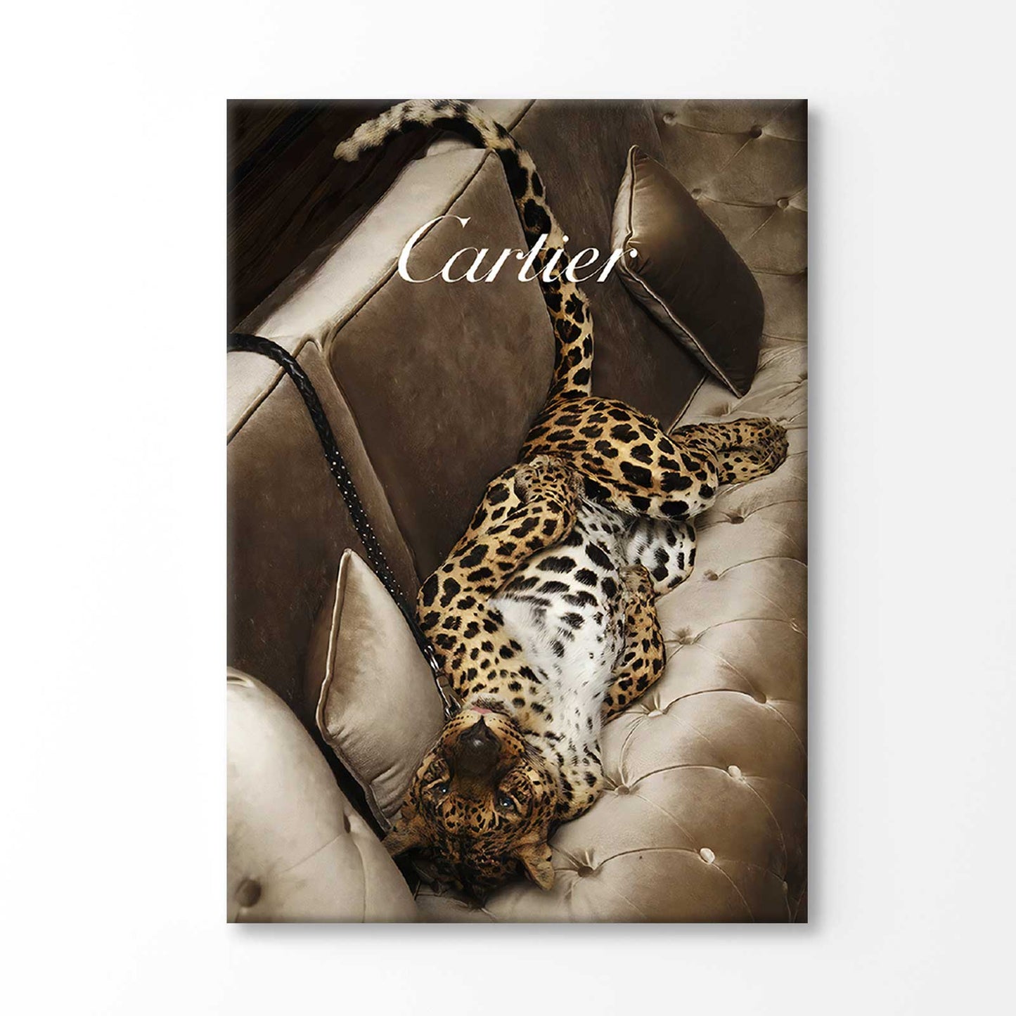 Bella Home Luxury Fashion Leopard Wall Art Print Canvas Ready to hang