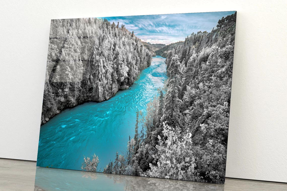 Blue River with White Trees Acrylic Glass Print Tempered Glass Wall Art 100% Made in Australia Ready to Hang