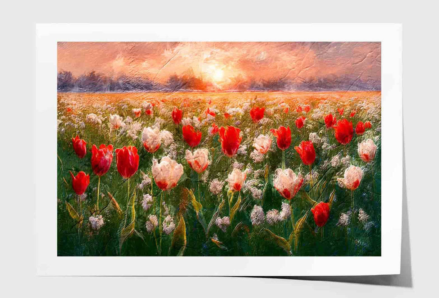 Colorful Drawing of Netherlands Flower Harvest Fields Wall Art Limited Edition High Quality Print