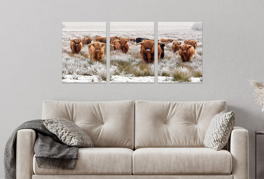 3pcs Highland Cow Herd Vintage Photograph Wall Art Set Canvas Framed 40x60cm - High Quality Print 100% Australian Made Wall Canvas Ready to Hang