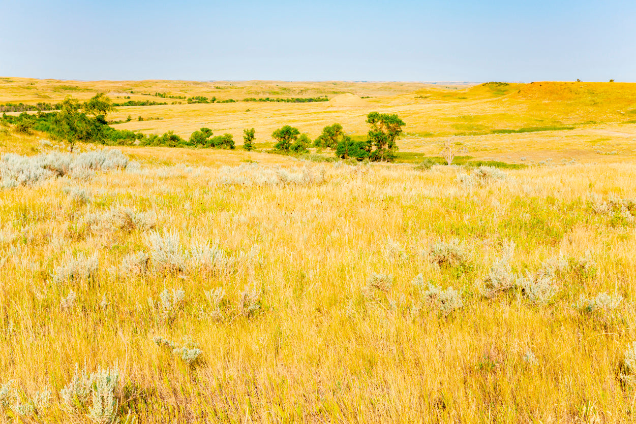 Missouri National Grassland in North Dakota Home Decor Premium Quality Poster Print Choose Your Sizes