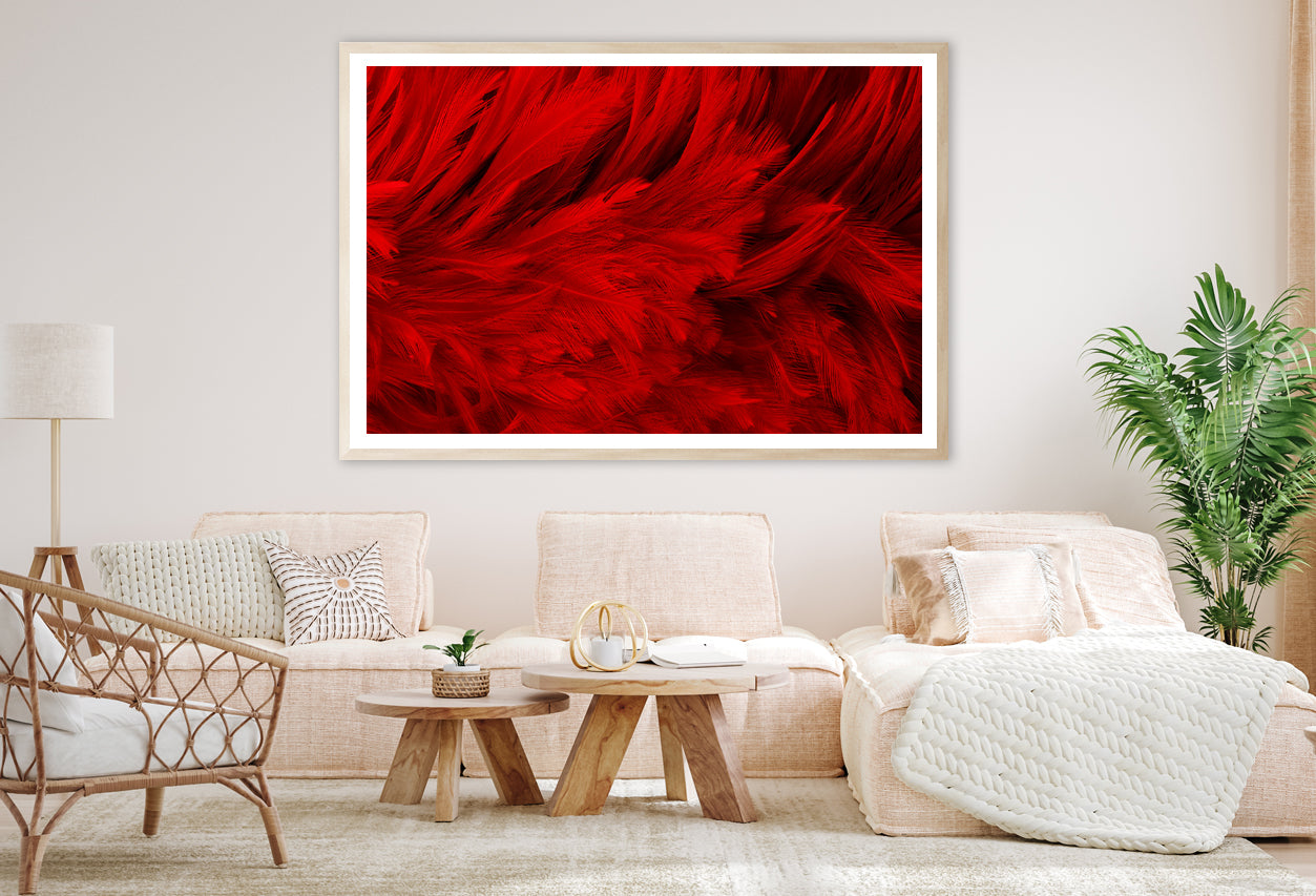 Dark Red Feathers in Close-Up Home Decor Premium Quality Poster Print Choose Your Sizes