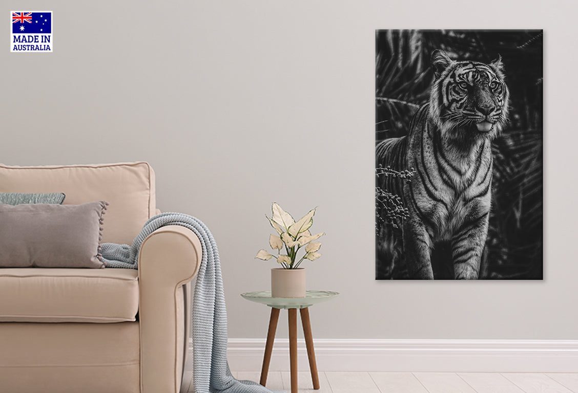Black And White Tiger in Dark Forest Wall Art Decor 100% Australian Made