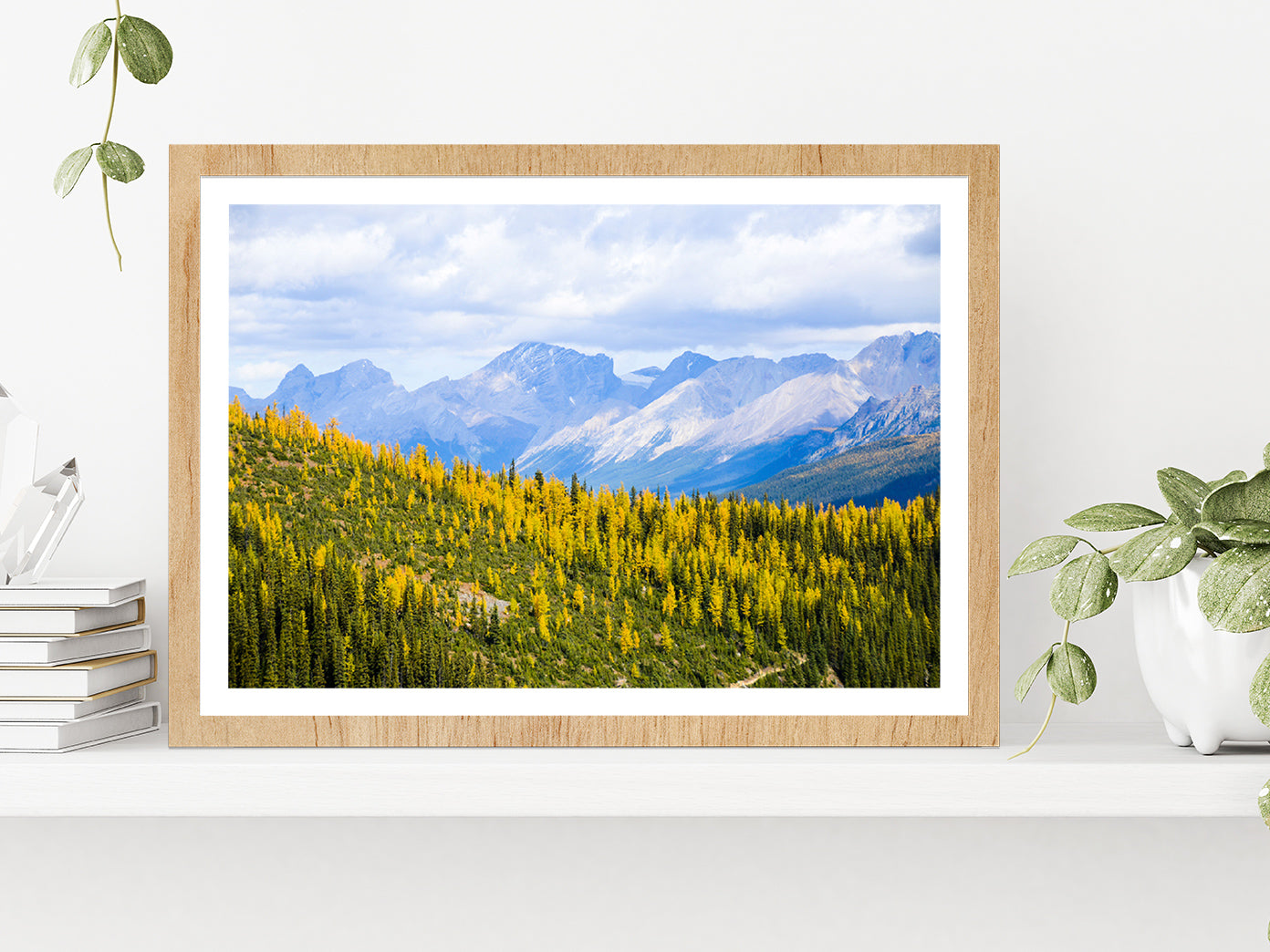 Yellow Leaves Mountain In Autumn Glass Framed Wall Art, Ready to Hang Quality Print With White Border Oak