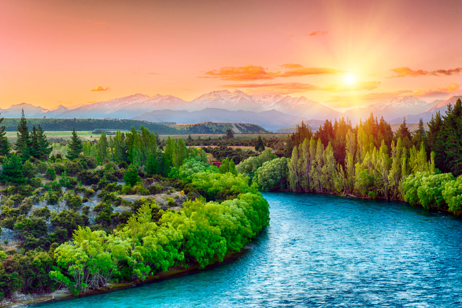 River Running Through a Lush Green Forest  Wall Art Decor 100% Australian Made