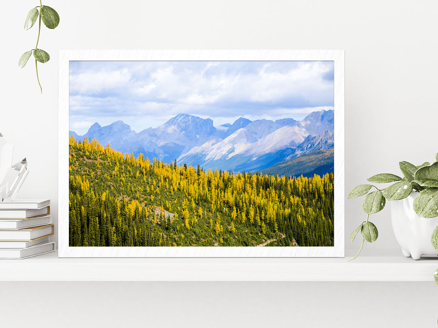 Yellow Leaves Mountain In Autumn Glass Framed Wall Art, Ready to Hang Quality Print Without White Border White