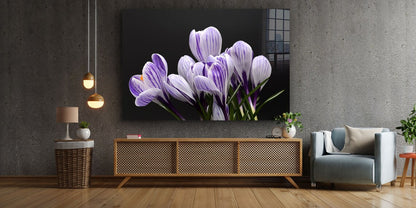 Crocus Violet Flowers UV Direct Aluminum Print Australian Made Quality