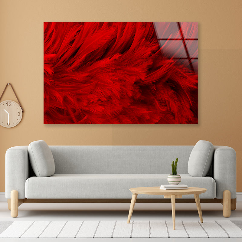 Dark Red Feathers in Close-Up Acrylic Glass Print Tempered Glass Wall Art 100% Made in Australia Ready to Hang