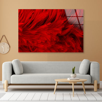 Dark Red Feathers in Close-Up Acrylic Glass Print Tempered Glass Wall Art 100% Made in Australia Ready to Hang