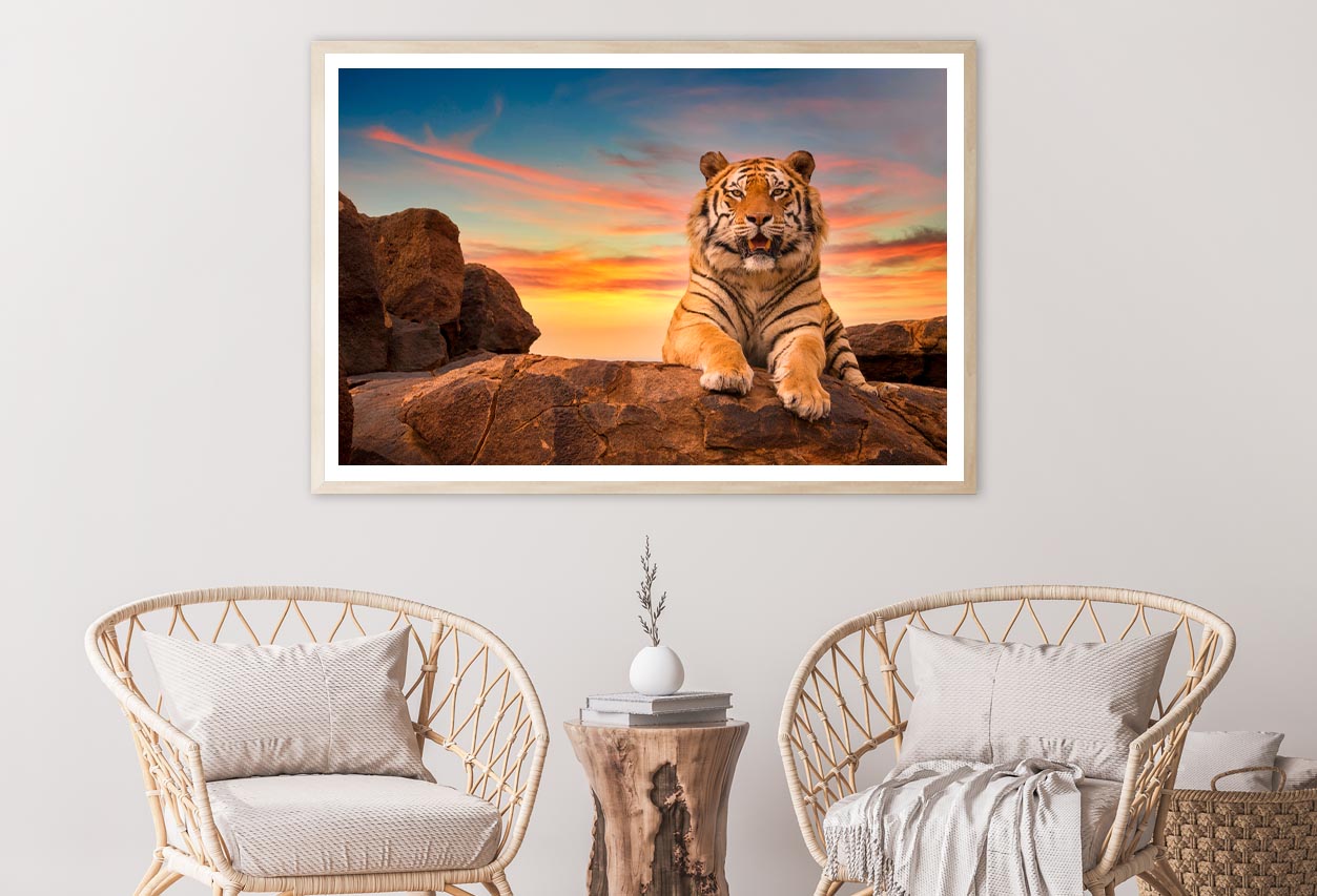 Solitary Adult Bengal Tiger Home Decor Premium Quality Poster Print Choose Your Sizes