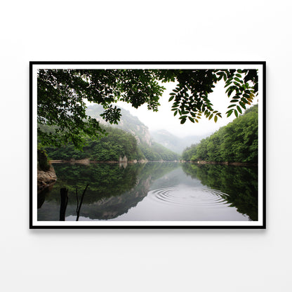 Lake in the Forest Surrounded By Trees Home Decor Premium Quality Poster Print Choose Your Sizes