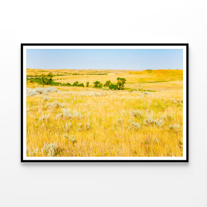 Missouri National Grassland in North Dakota Home Decor Premium Quality Poster Print Choose Your Sizes