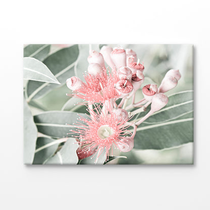 Bella Home Pink Gum Flower Closeup Faded Print Canvas Ready to hang