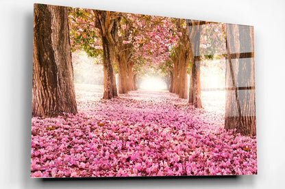 Cherry Blossom Forest Acrylic Glass Print Tempered Glass Wall Art 100% Made in Australia Ready to Hang