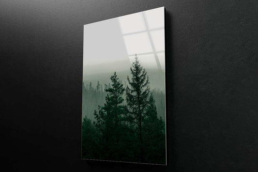 Foggy Magical Forrest Acrylic Glass Print Tempered Glass Wall Art 100% Made in Australia Ready to Hang