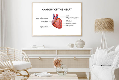 Human Heart Cardiology Illustration Home Decor Premium Quality Poster Print Choose Your Sizes