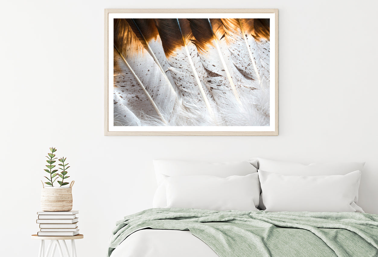 Bunch of White and Brown Feathers Home Decor Premium Quality Poster Print Choose Your Sizes