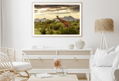 Giraffe Walking Through the Grasslands in Kenya Home Decor Premium Quality Poster Print Choose Your Sizes