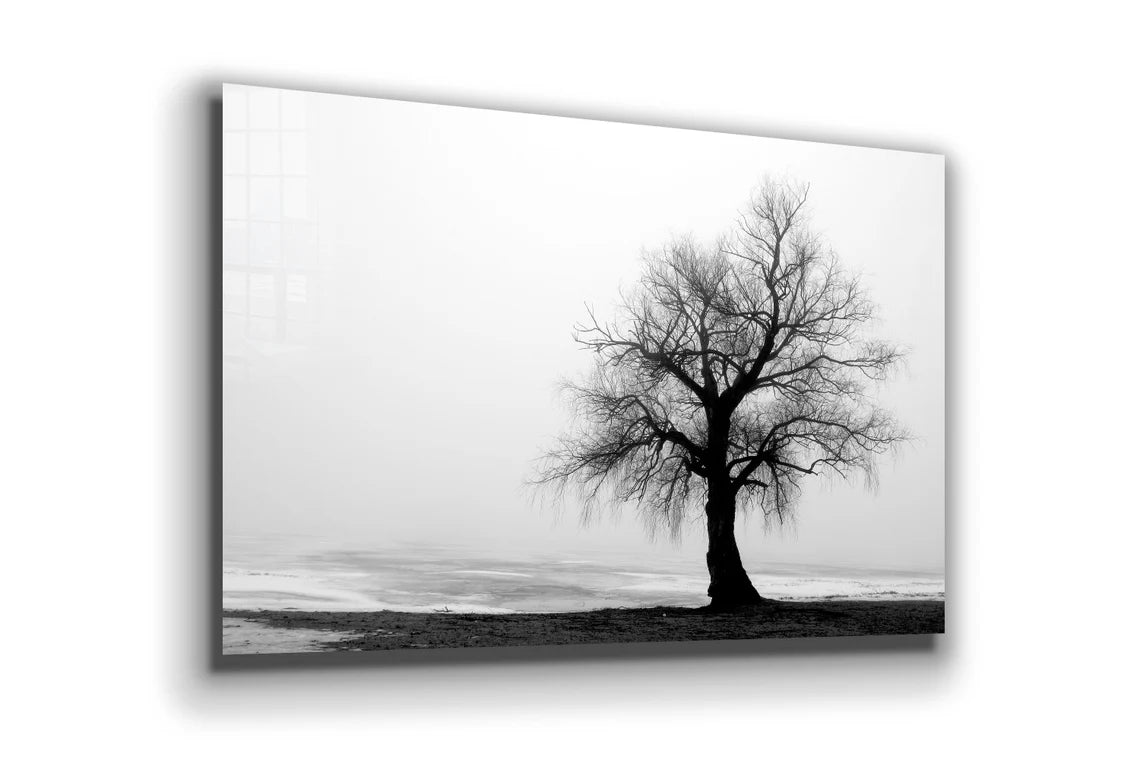 Alone Tree B&W View UV Direct Aluminum Print Australian Made Quality