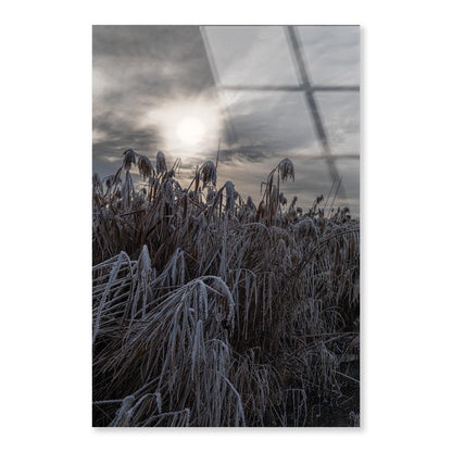 Landscape Winter Wonderland Portrait Photograph Acrylic Glass Print Tempered Glass Wall Art 100% Made in Australia Ready to Hang