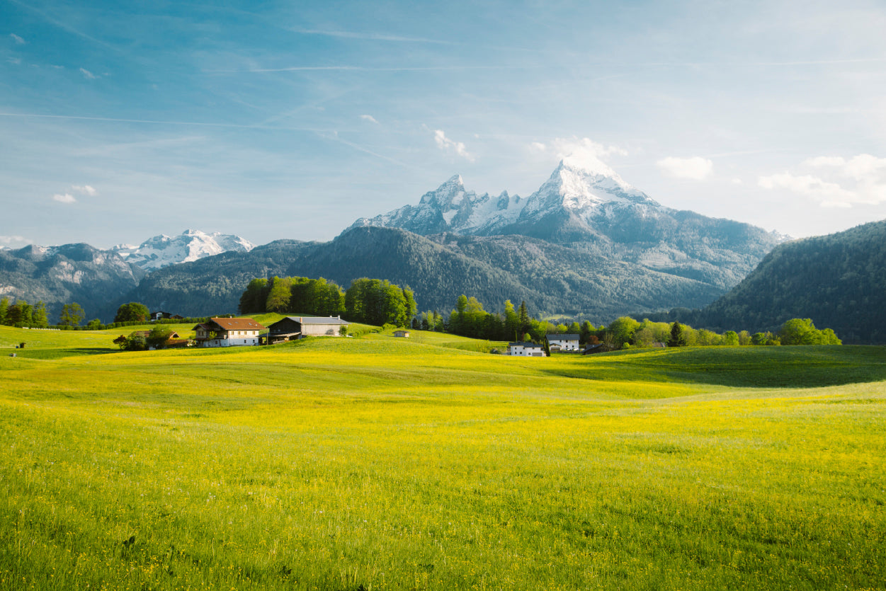 A Field Of Grass in the Foreground and Mountains Print 100% Australian Made