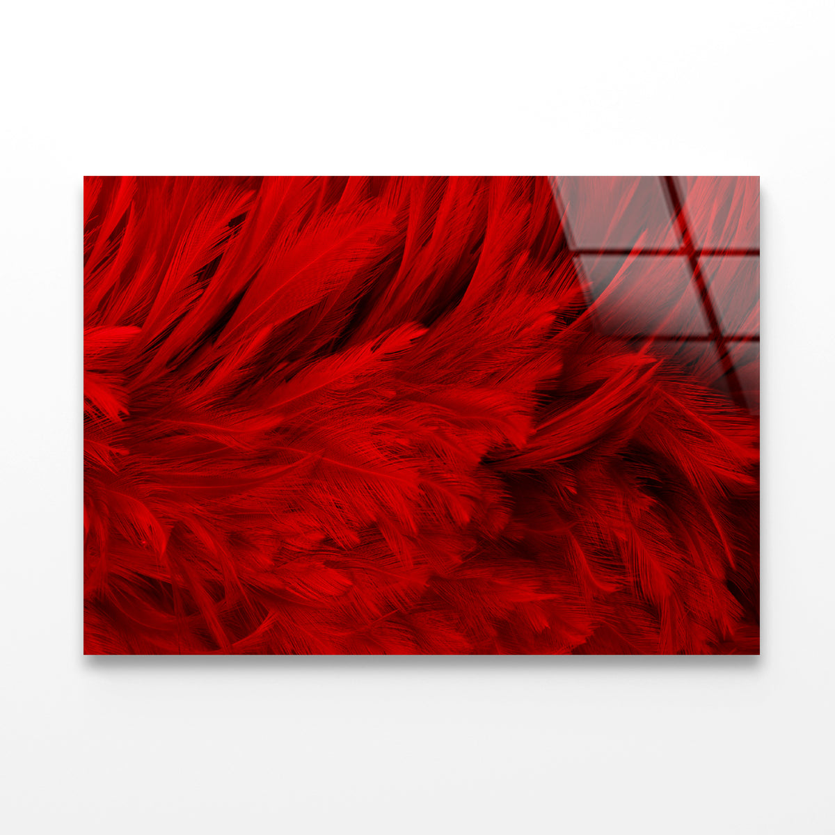 Dark Red Feathers in Close-Up Acrylic Glass Print Tempered Glass Wall Art 100% Made in Australia Ready to Hang