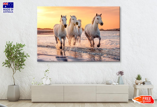 White Horses Running Through the Water at Sunset Wall Art Decor 100% Australian Made